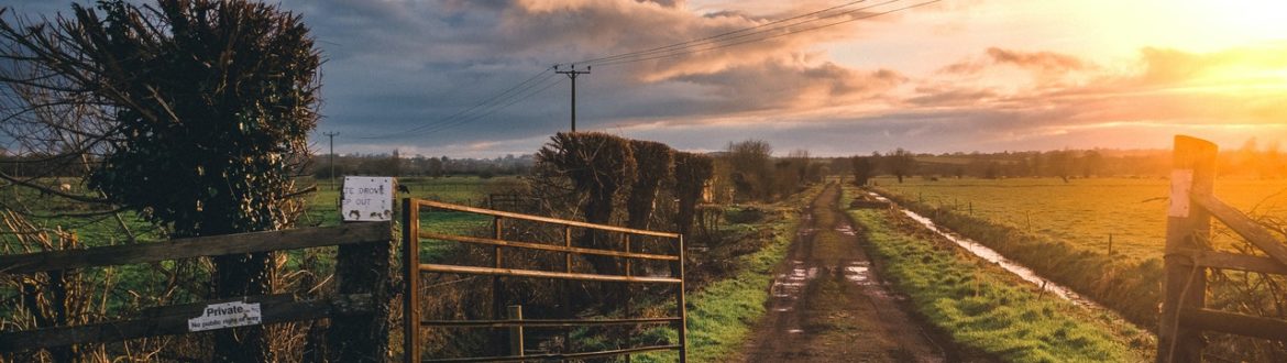 Principales contraindicaciones del uso de tierras de diatomeas